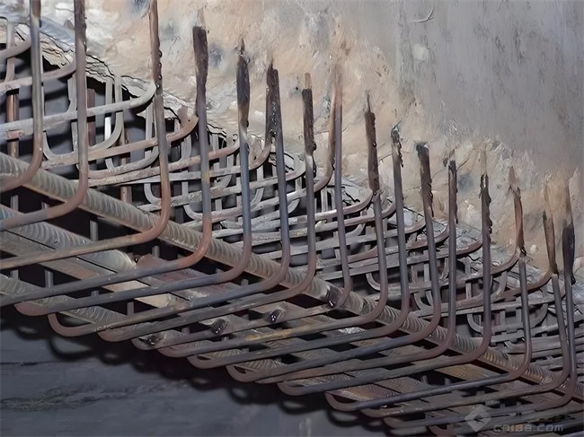 1723691572944490.jpg 0bc2a408-a758-4dbe-acb1-56789426aa57.jpg