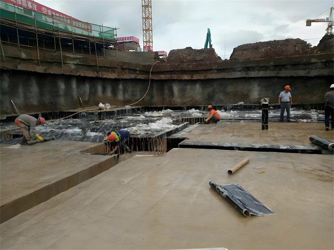 1723776704489886.jpg ff68cc64-2b43-490f-a949-2b8a0be9a307.jpg